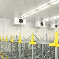 Светильник светодиодный ДСП-36вт 4000К 3600Лм IP65 поликарбонат (аналог ЛСП-2х36) - AL5090 FERON 32598
